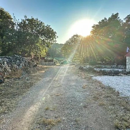 The Root House - Crete Semesterbostad Vafés