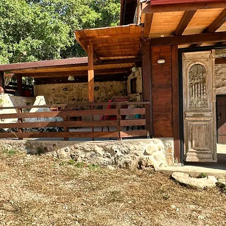 Case de vacanță The Root House - Crete