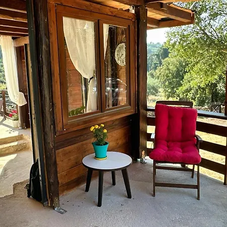 The Root House - Crete Case de vacanță Vafés